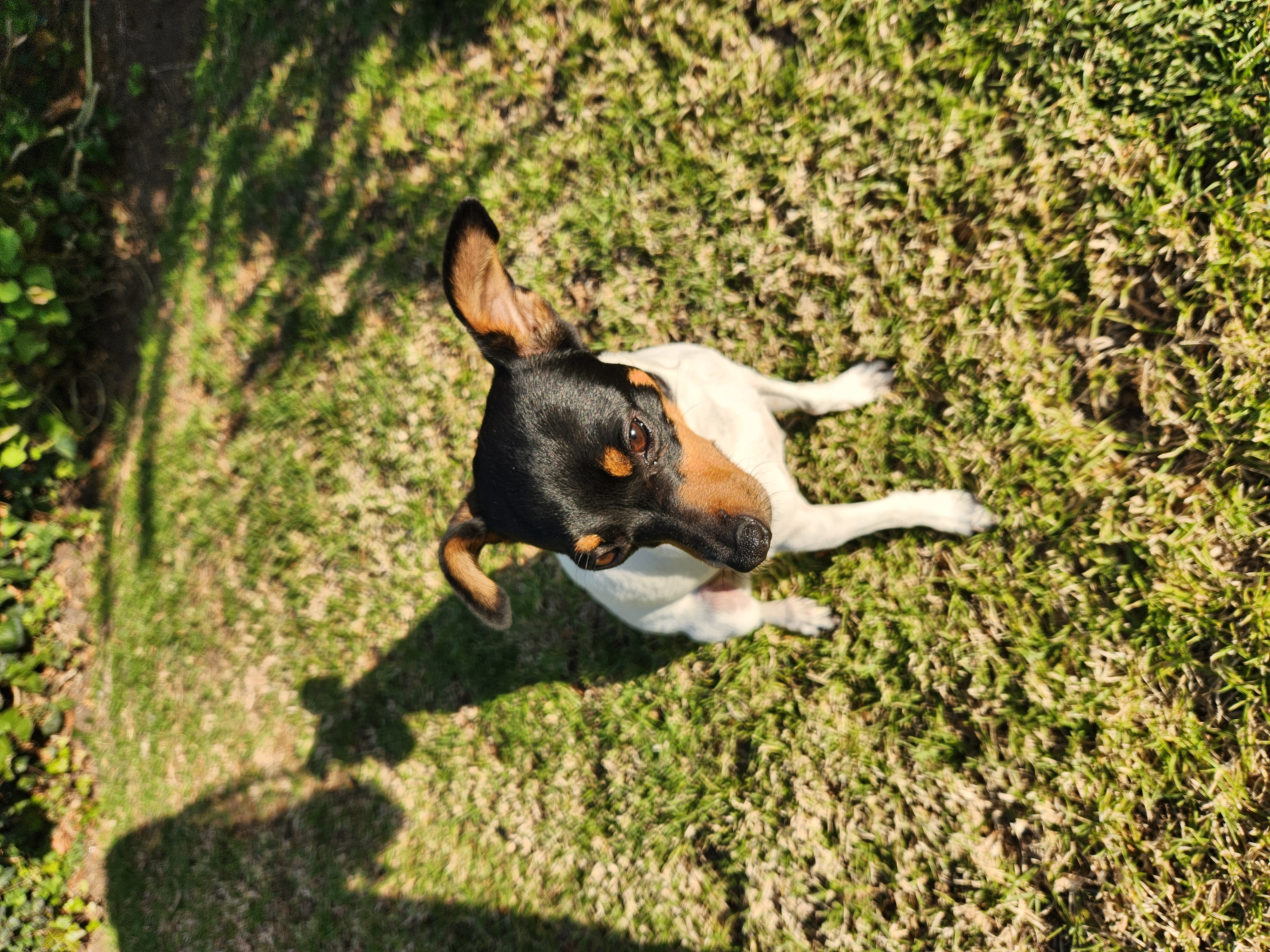 Attach pictures of the Business